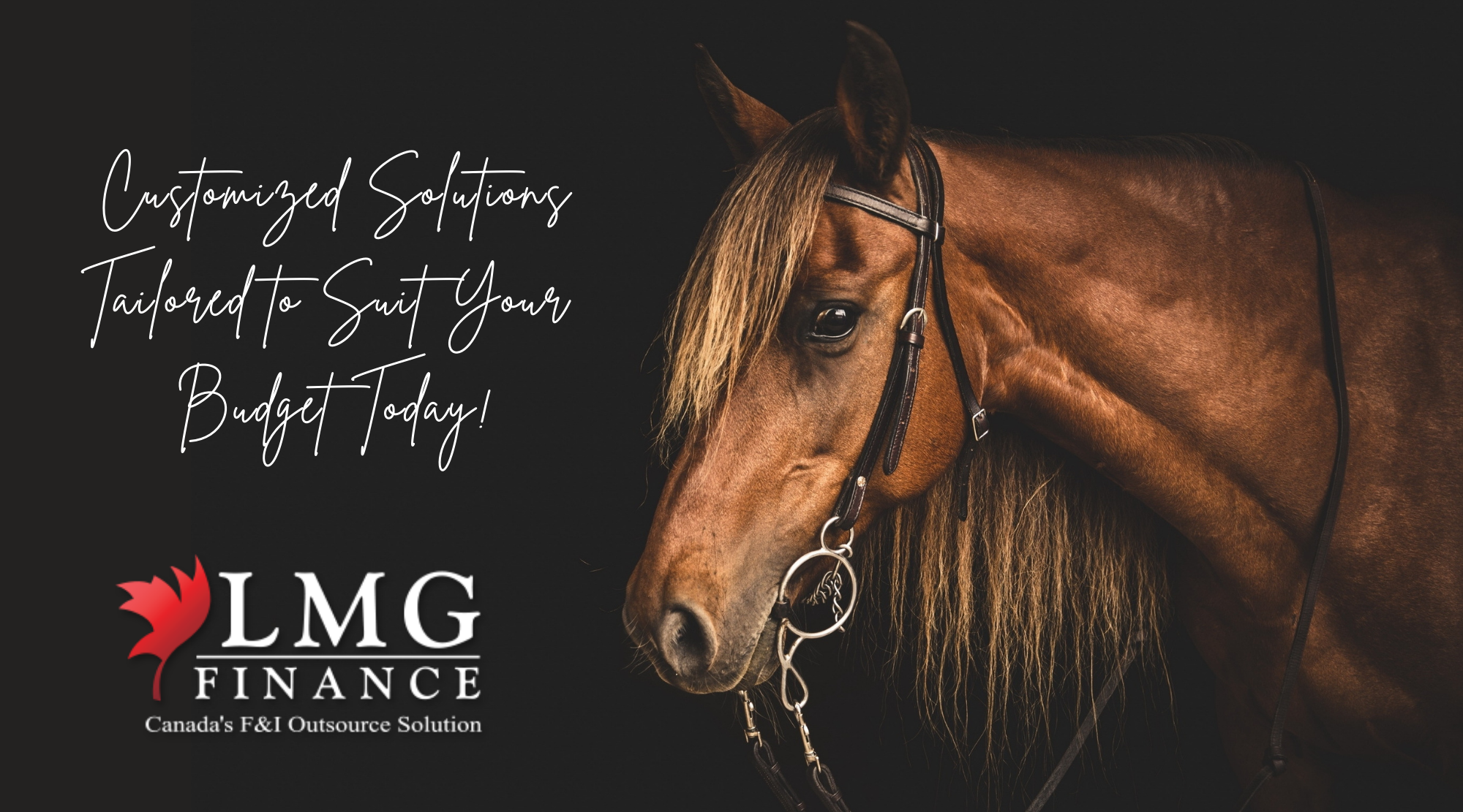 LMG Finance Slide Show Advertisement Horse